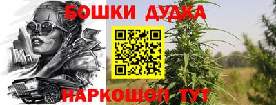spice Шебекино