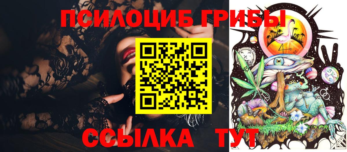 Псилоцибиновые грибы Psilocybe  Псилоцибиновые грибы прущие грибы  Елизово  Вход с VPN 