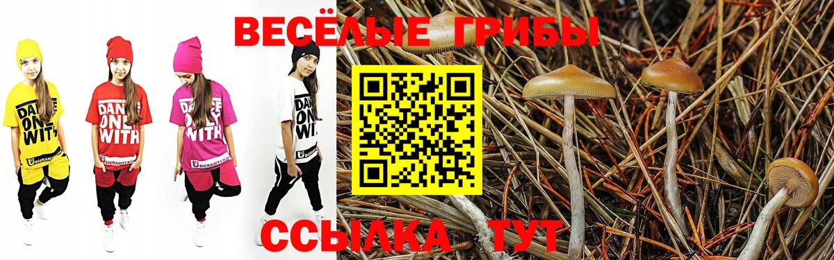 Псилоцибиновые грибы Cubensis Елизово